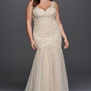 Plus size David’s Bridal wedding dress